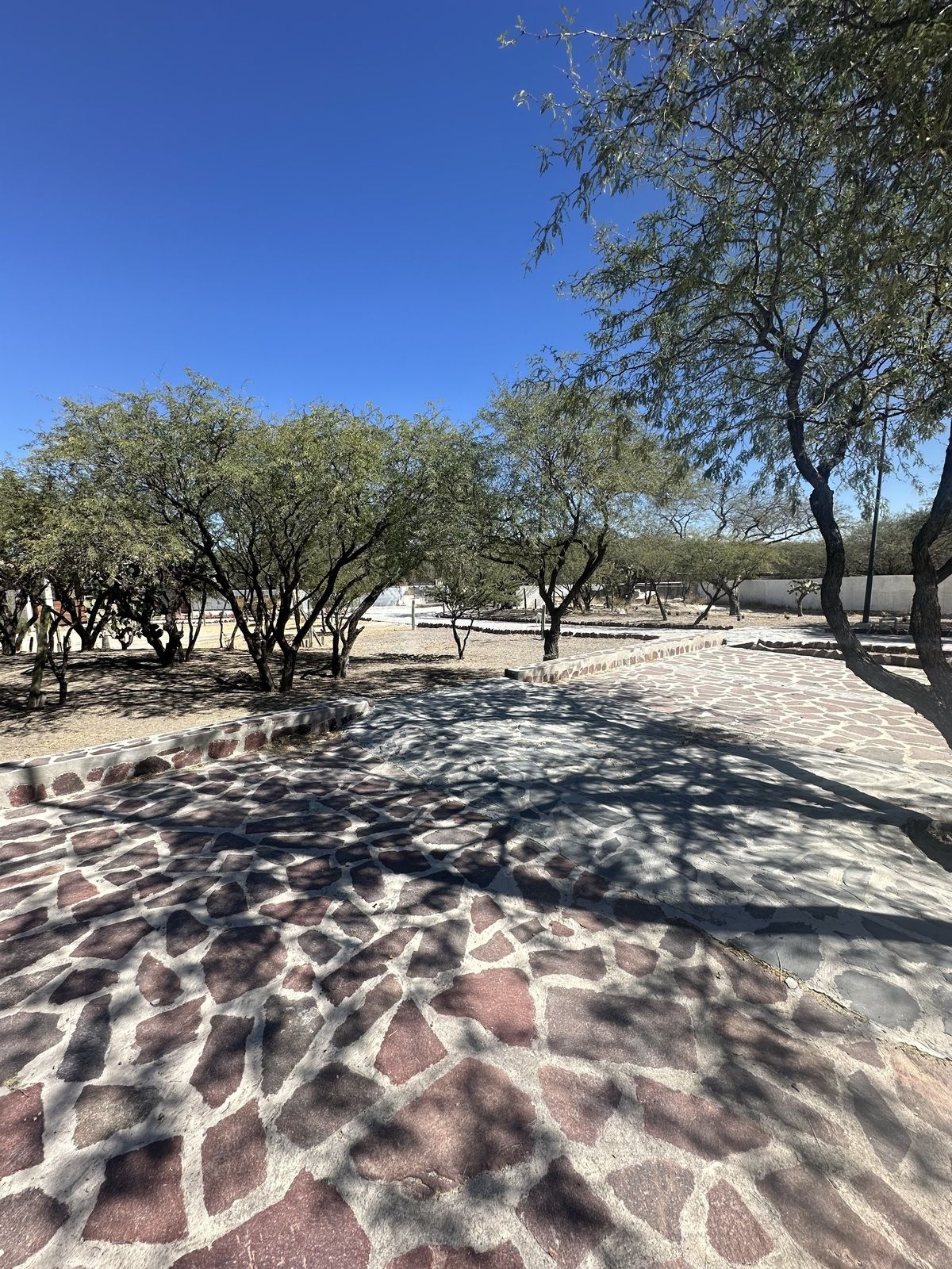 XOTOL SAN MIGUEL DE ALLENDE $ 988 570 - foto 5