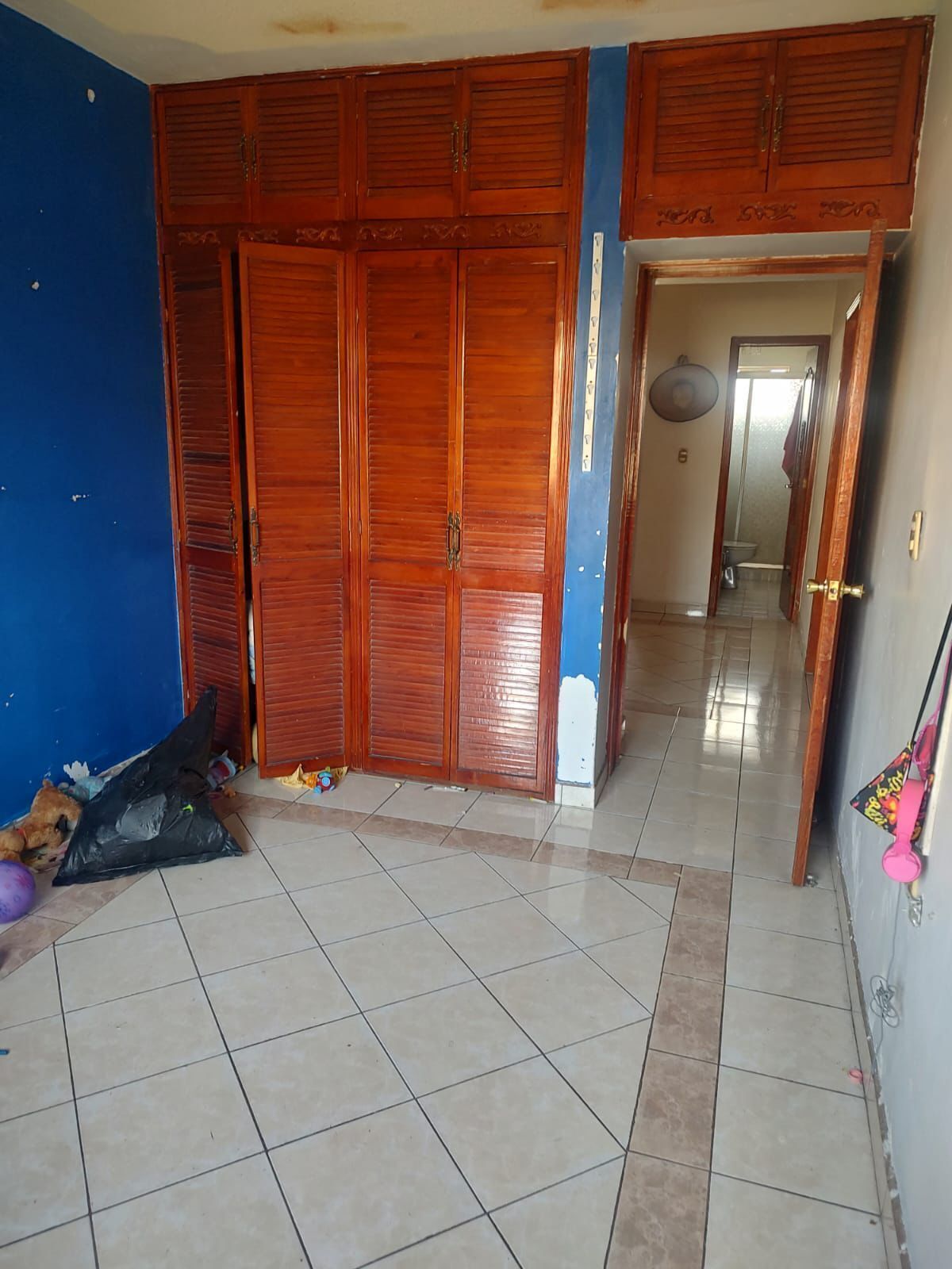 House in Morelos 2a Sección, Aguascalientes, photo 19 of 24
