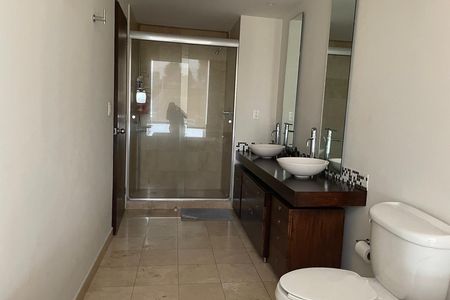 RENTA DEPARTAMENTO CON TERRAZA  ISOLA BOSQUE REAL