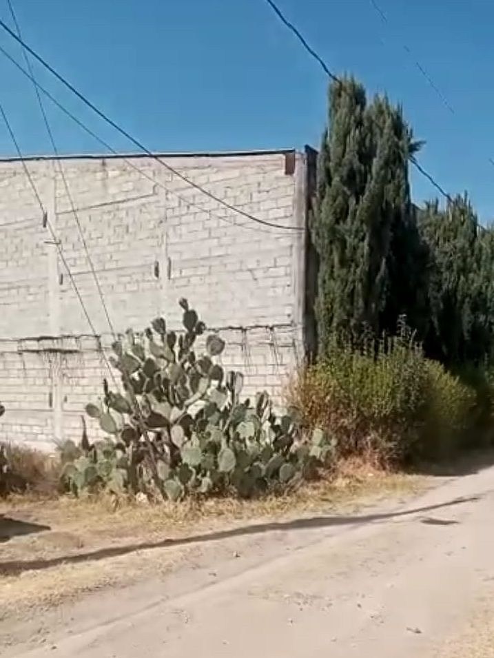 4 de 5