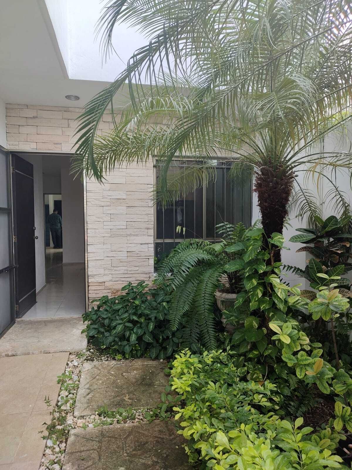 3 of 16: Jardín y acceso a la propiedad