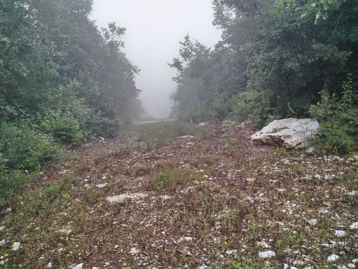 Terreno en Bosques del Sur