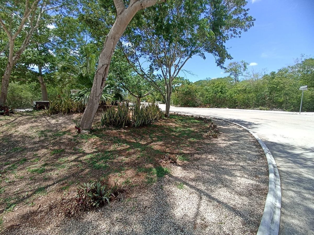 Terreno en La Rejoyada, Mérida, foto 6 de 6