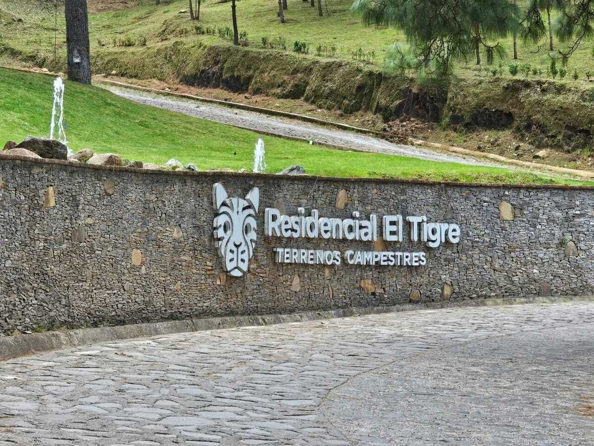 3 de 12
