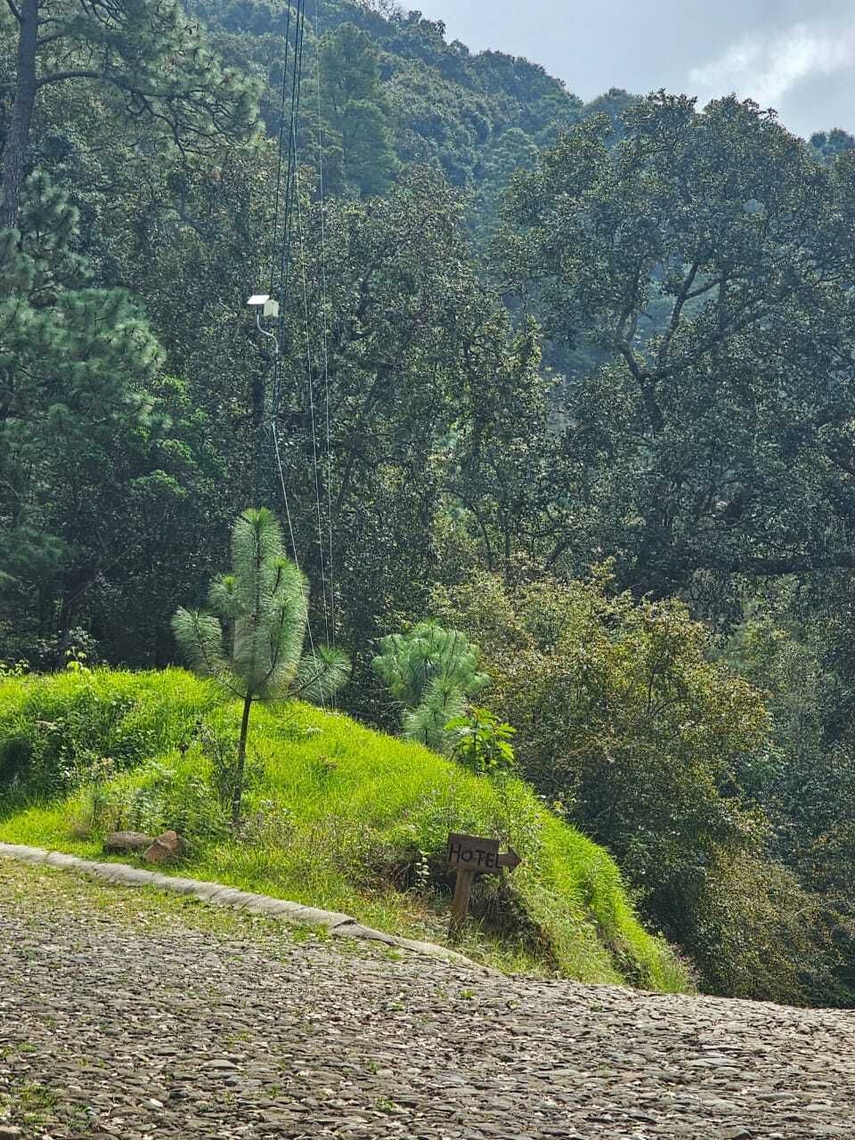 4 de 12