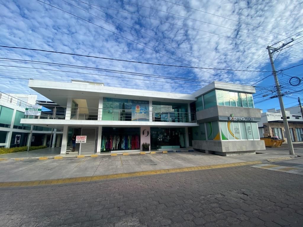 3 de 18
