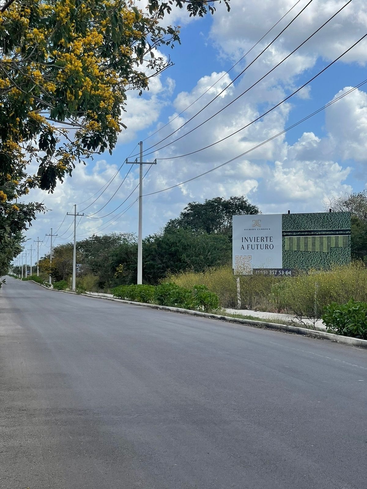 Terreno en venta sobre avenida principal ideal para negocio o inversionistas