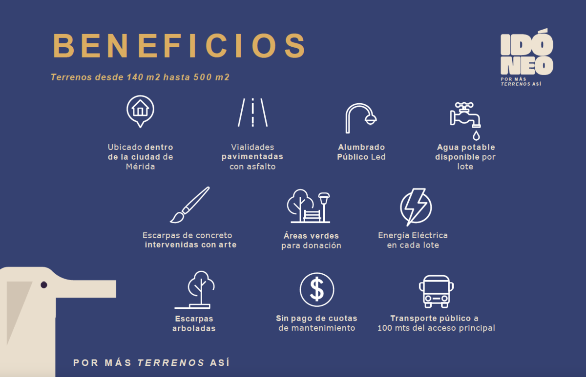 4 de 8