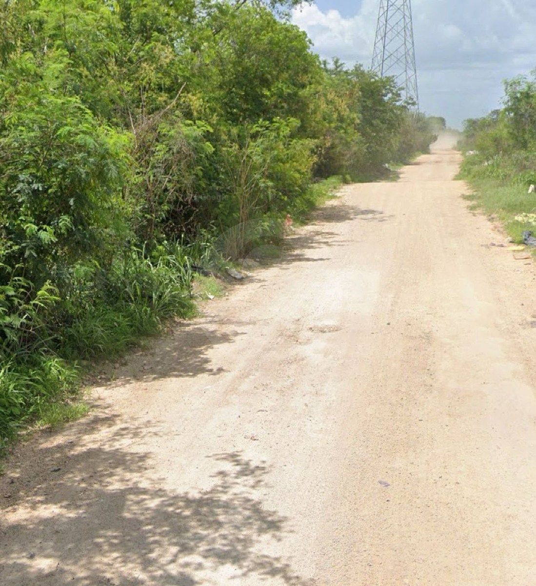 Terreno en San Antonio, Mérida, foto 9 de 12
