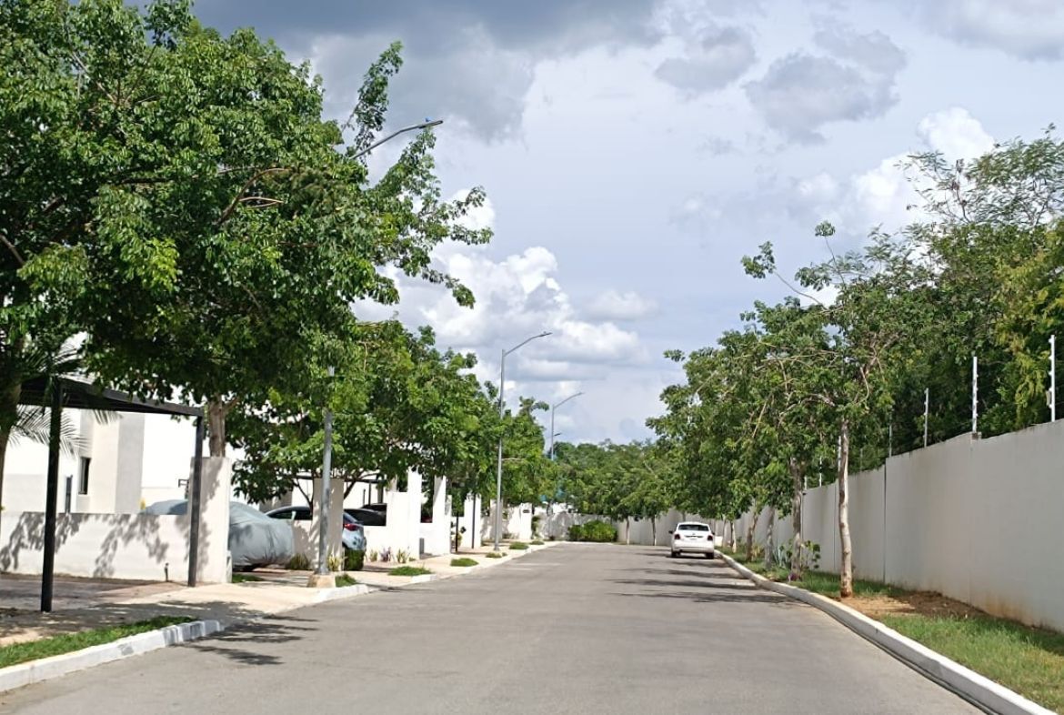28 of 29: VISTA DE LA CALLE