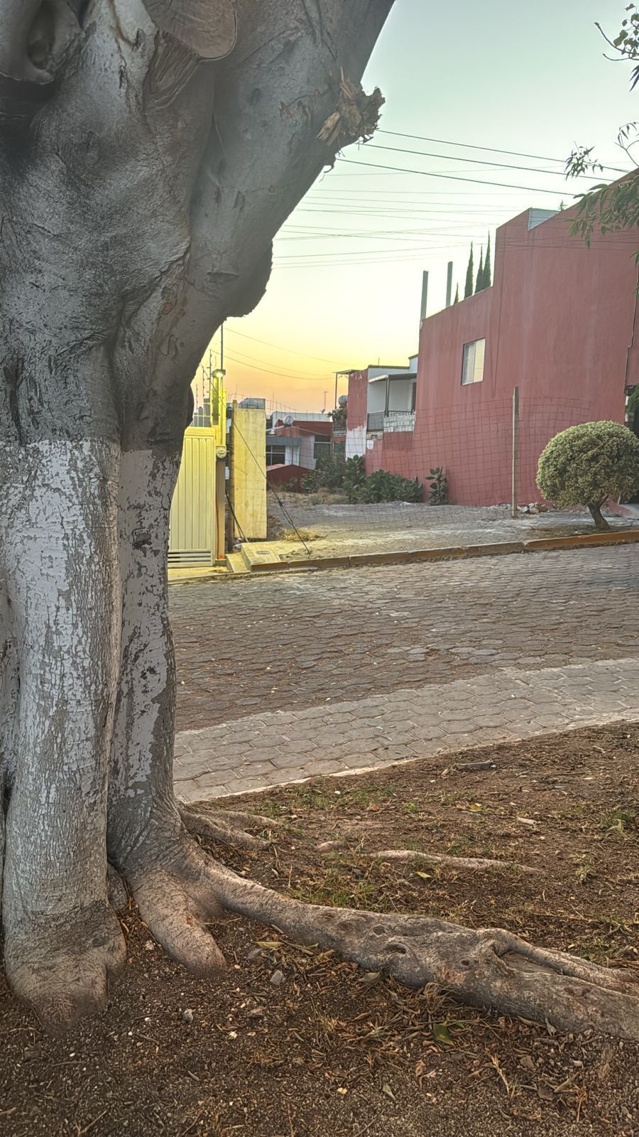 2 de 15