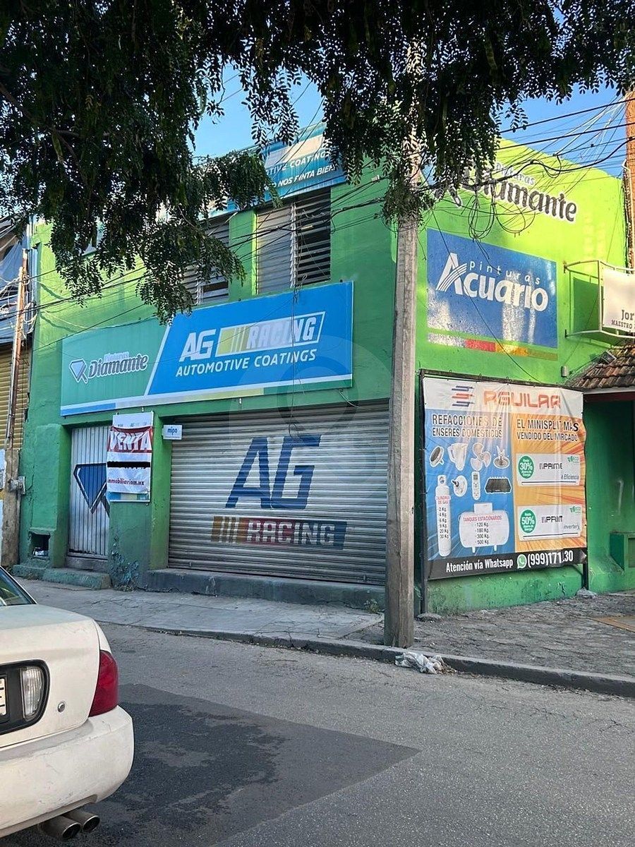 7 de 19