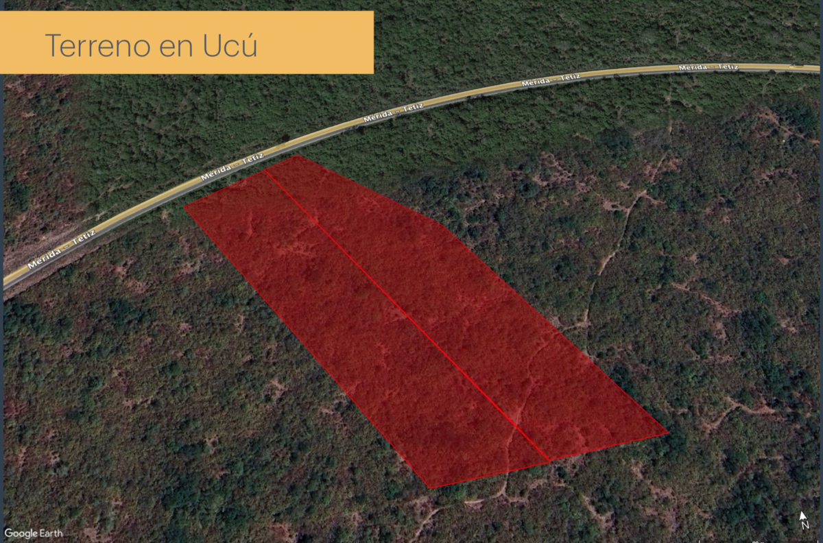Imagen 2 de 2
