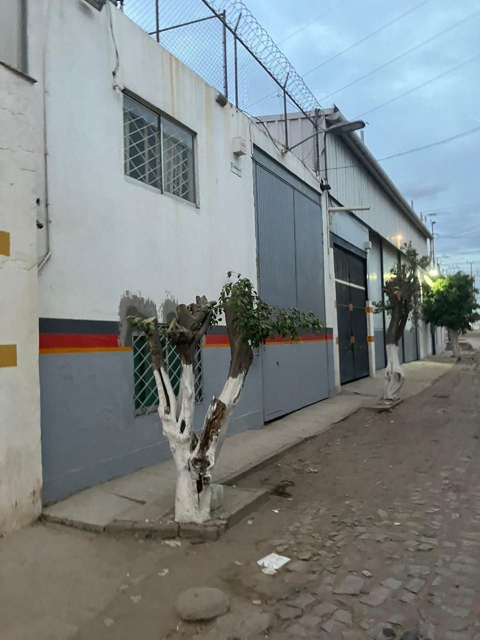 6 de 15