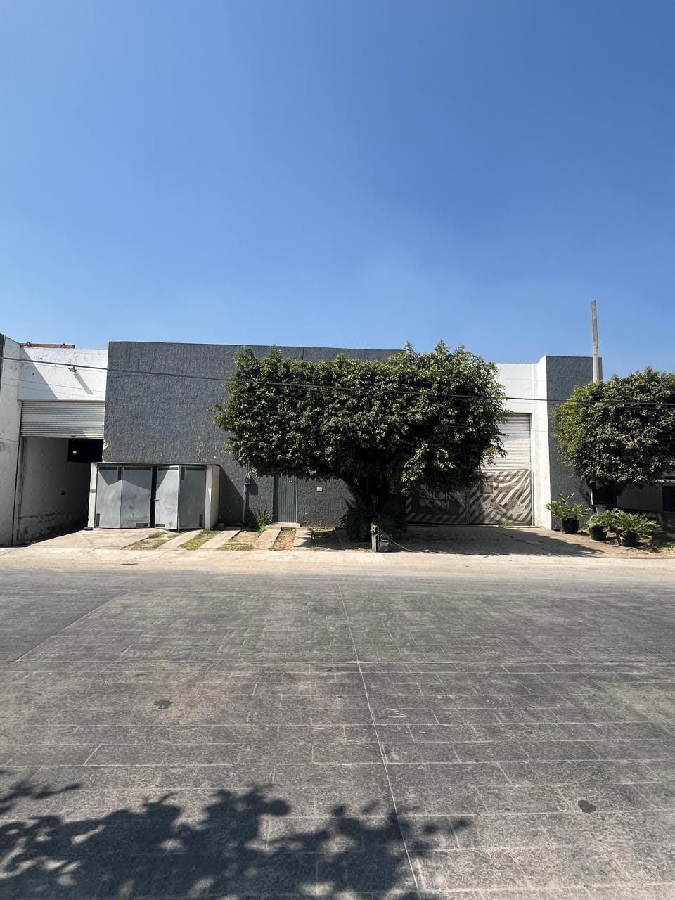 BODEGA EN RENTA ZAPOPAN NORTE