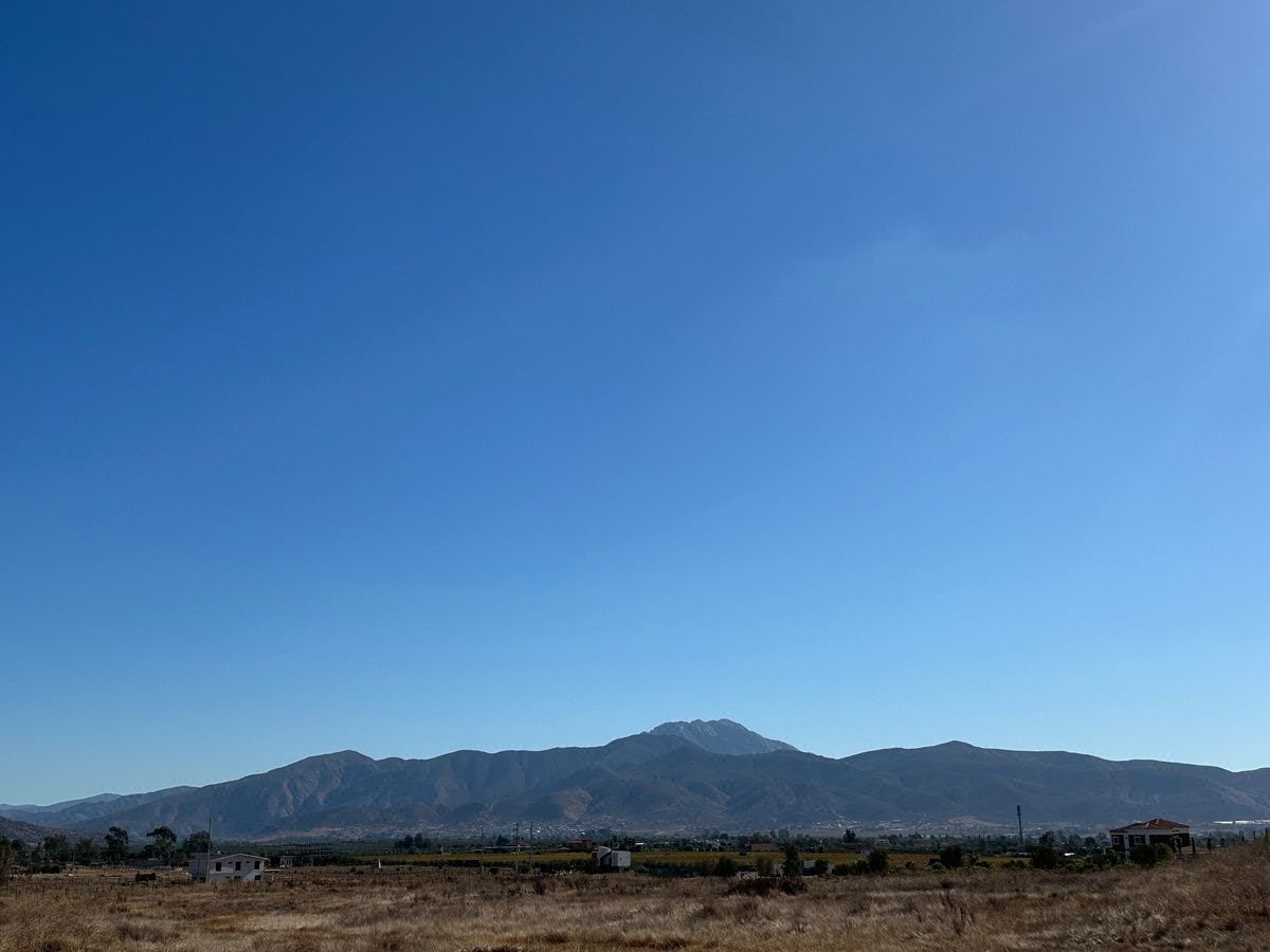 Terreno en Venta 3 HA en Valle de Guadalupe.