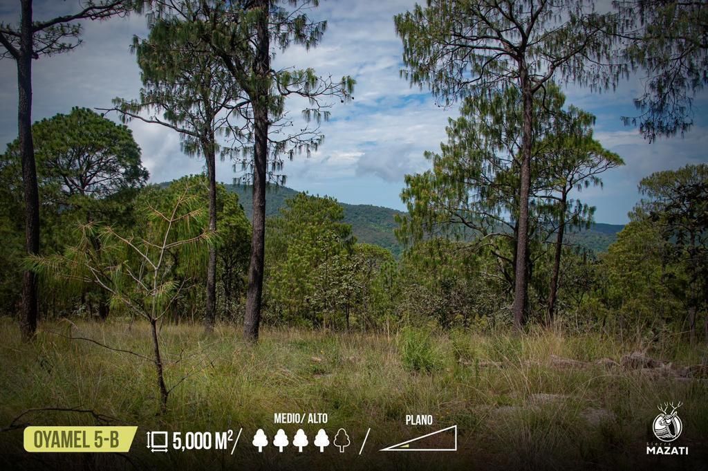 Terreno en Tapalpa, Tapalpa, foto 10 de 13