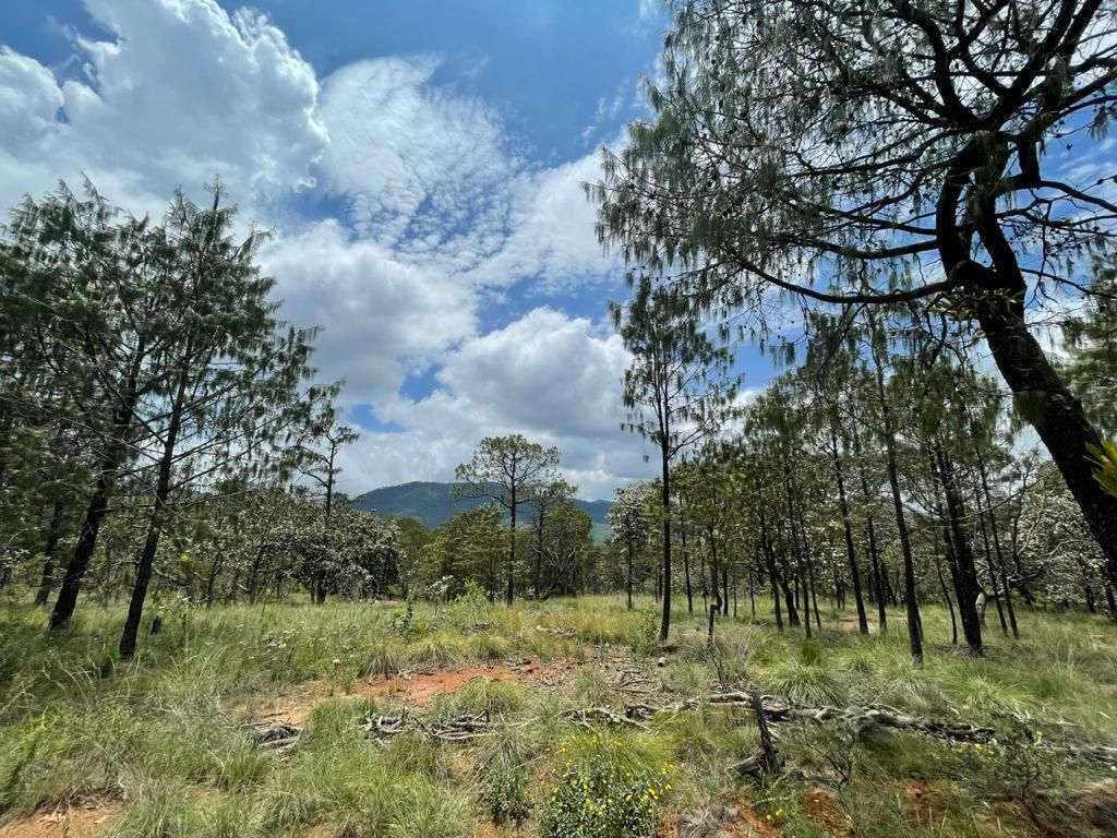 Terreno en Tapalpa, Tapalpa, foto 13 de 13