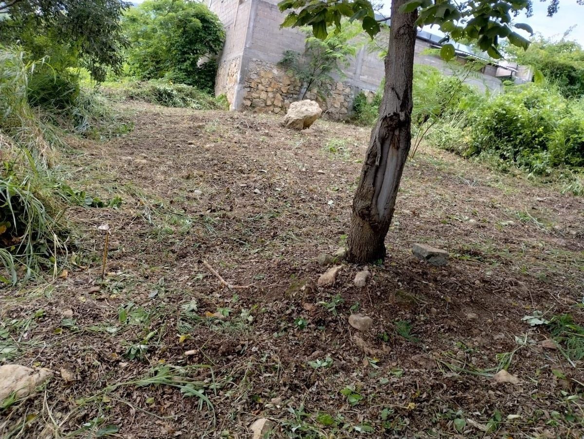 4 de 9