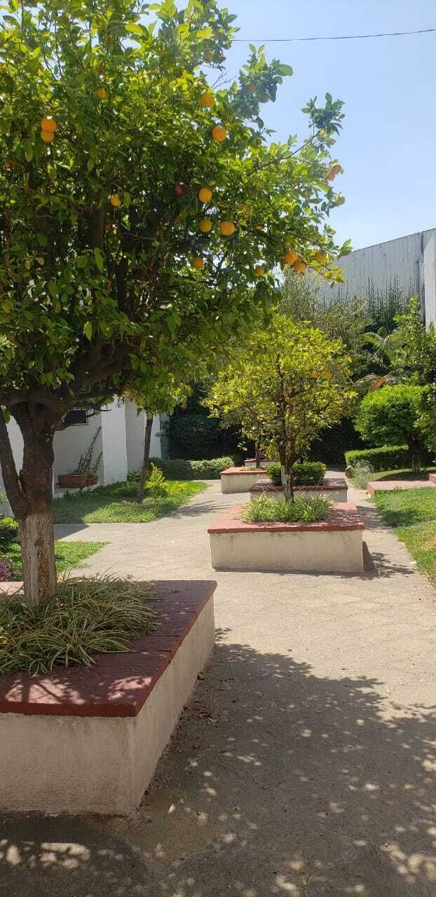 2 de 9