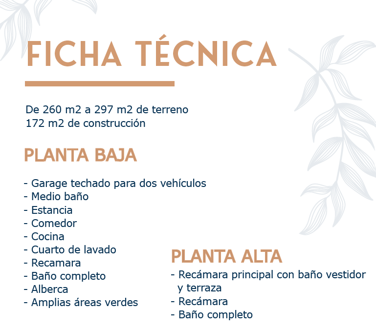 2 de 6