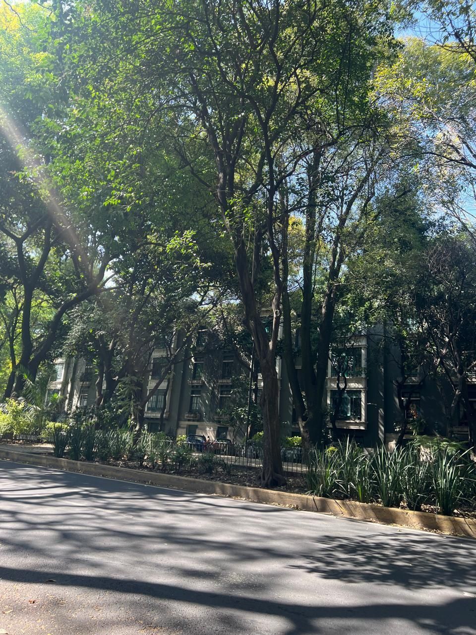 16 de 20