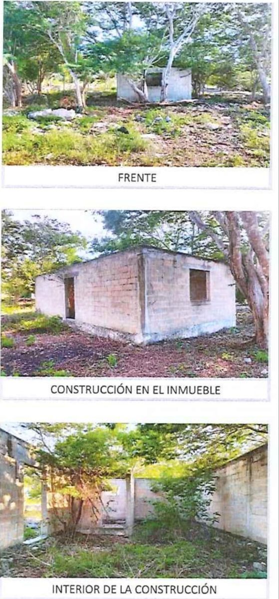 Imagen 2 de 5