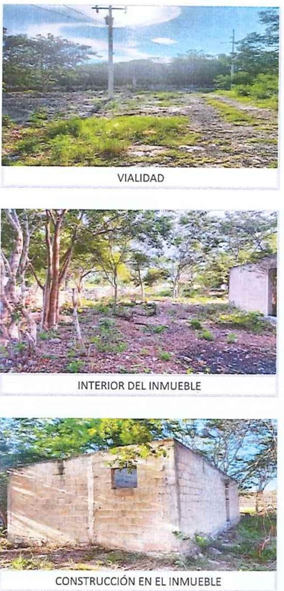 Imagen 3 de 5