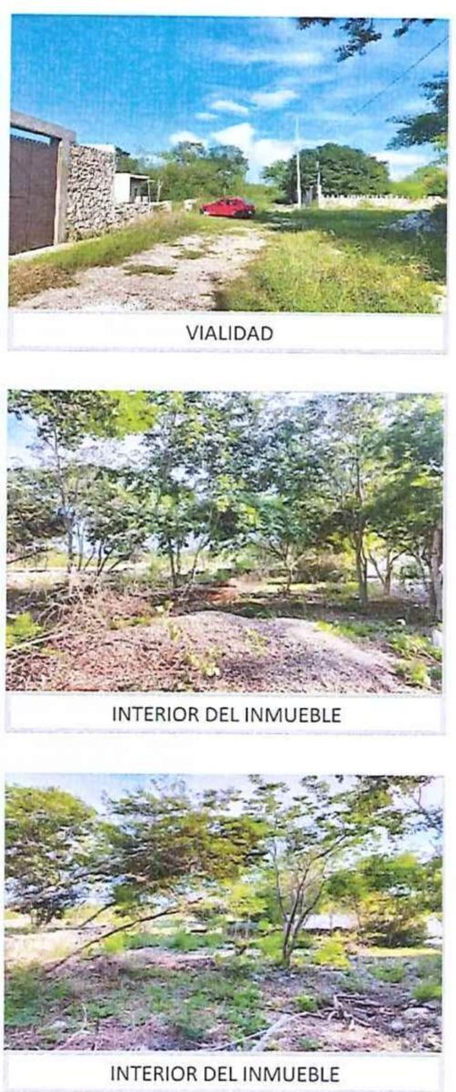 Imagen 5 de 5