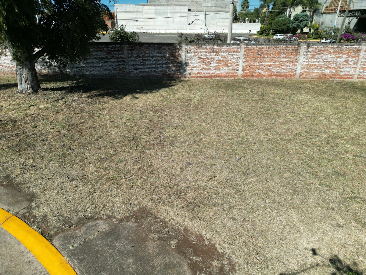 5 de 7