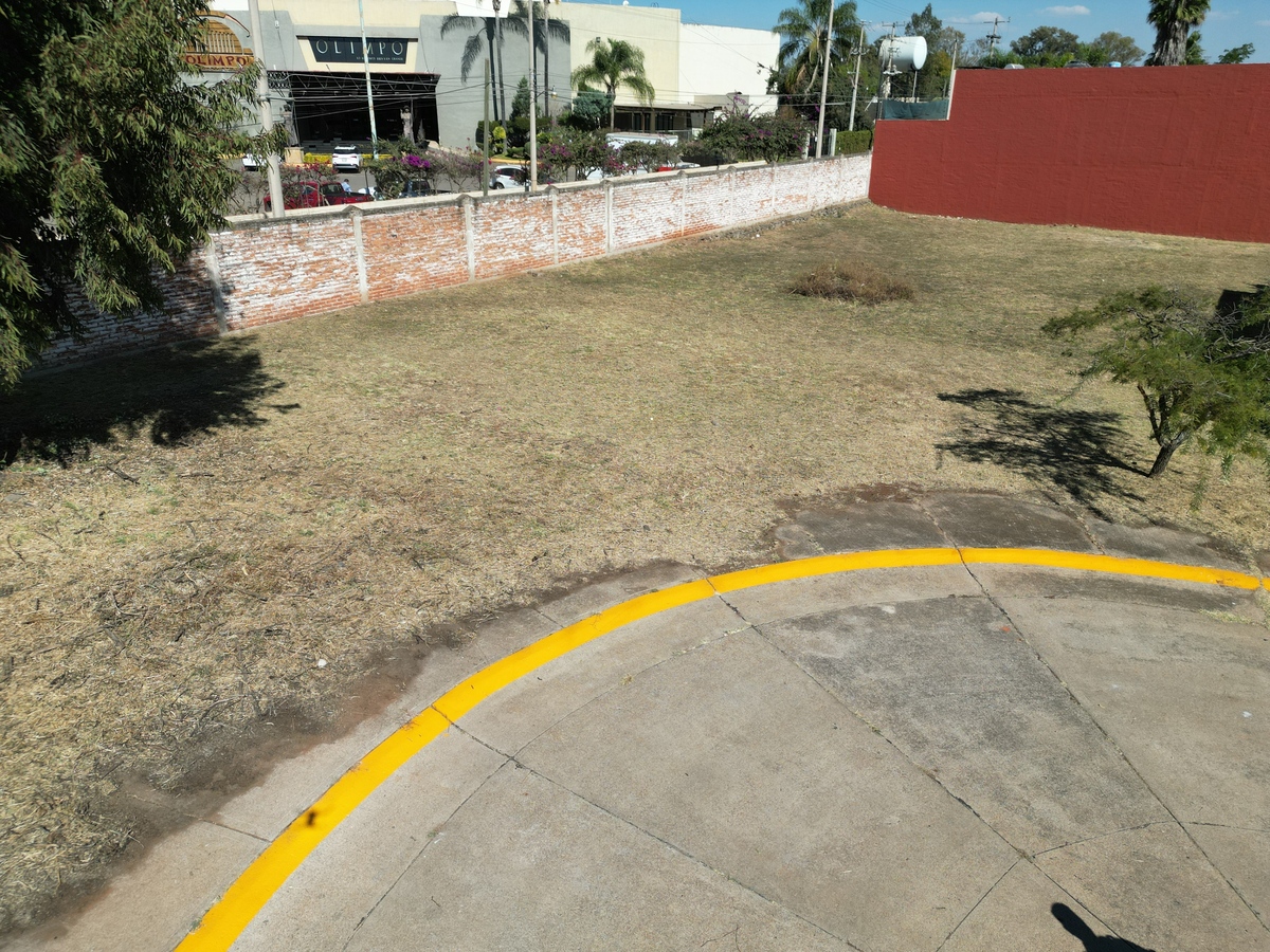 3 de 7