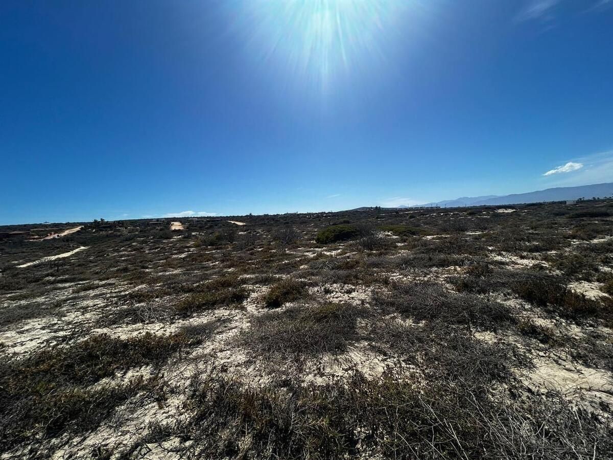 10 HAS RANCHO LA MUELA LA RIBERA - foto 3