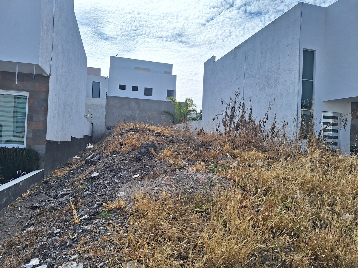 7 de 15