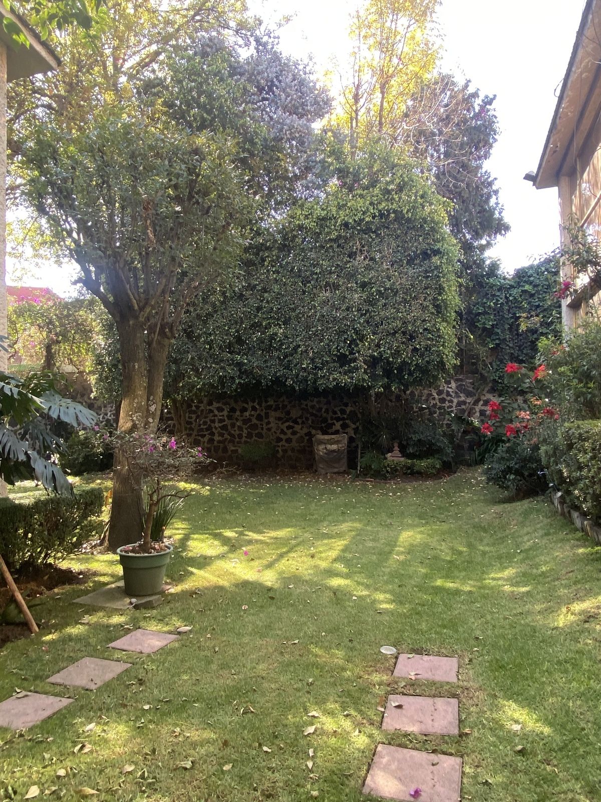 2 de 30: Jardín comunal