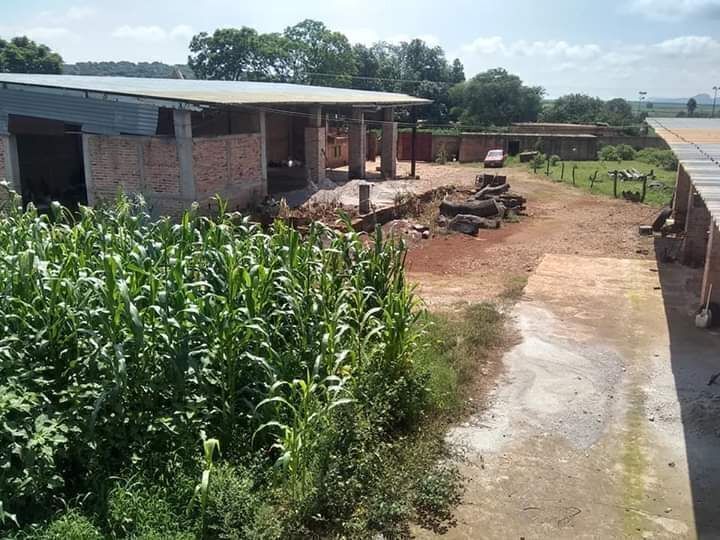 4 de 7