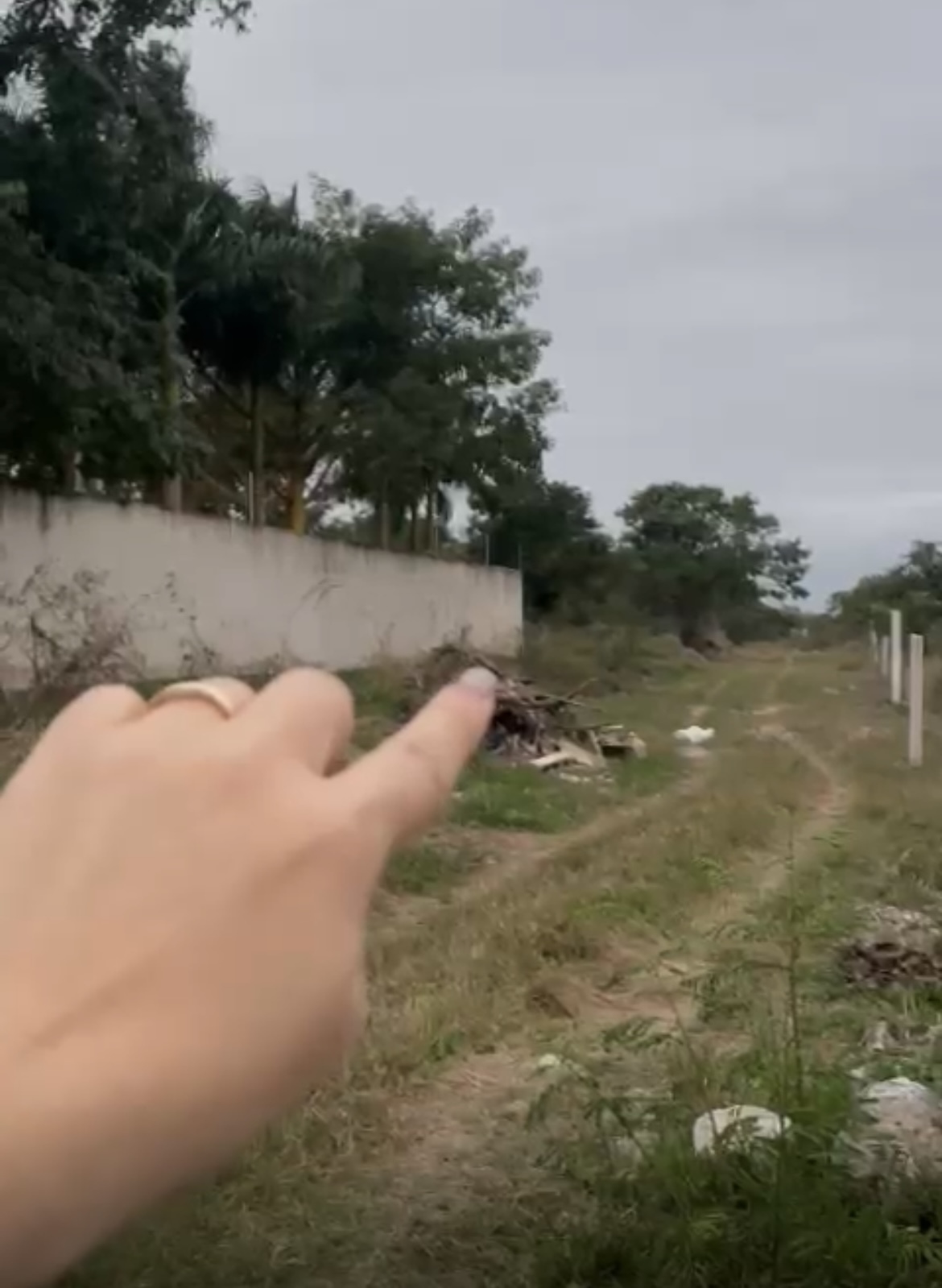3 de 8