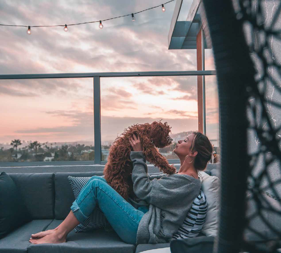 11 de 16
