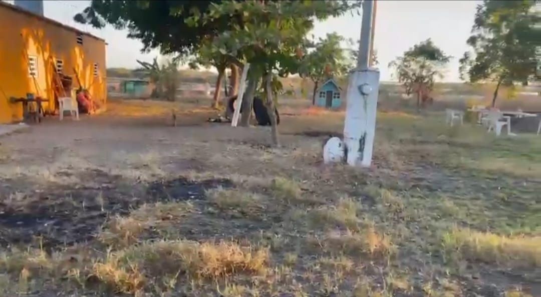 Terreno en Antonio Toledo Corro, Escuinapa, foto 9 de 9