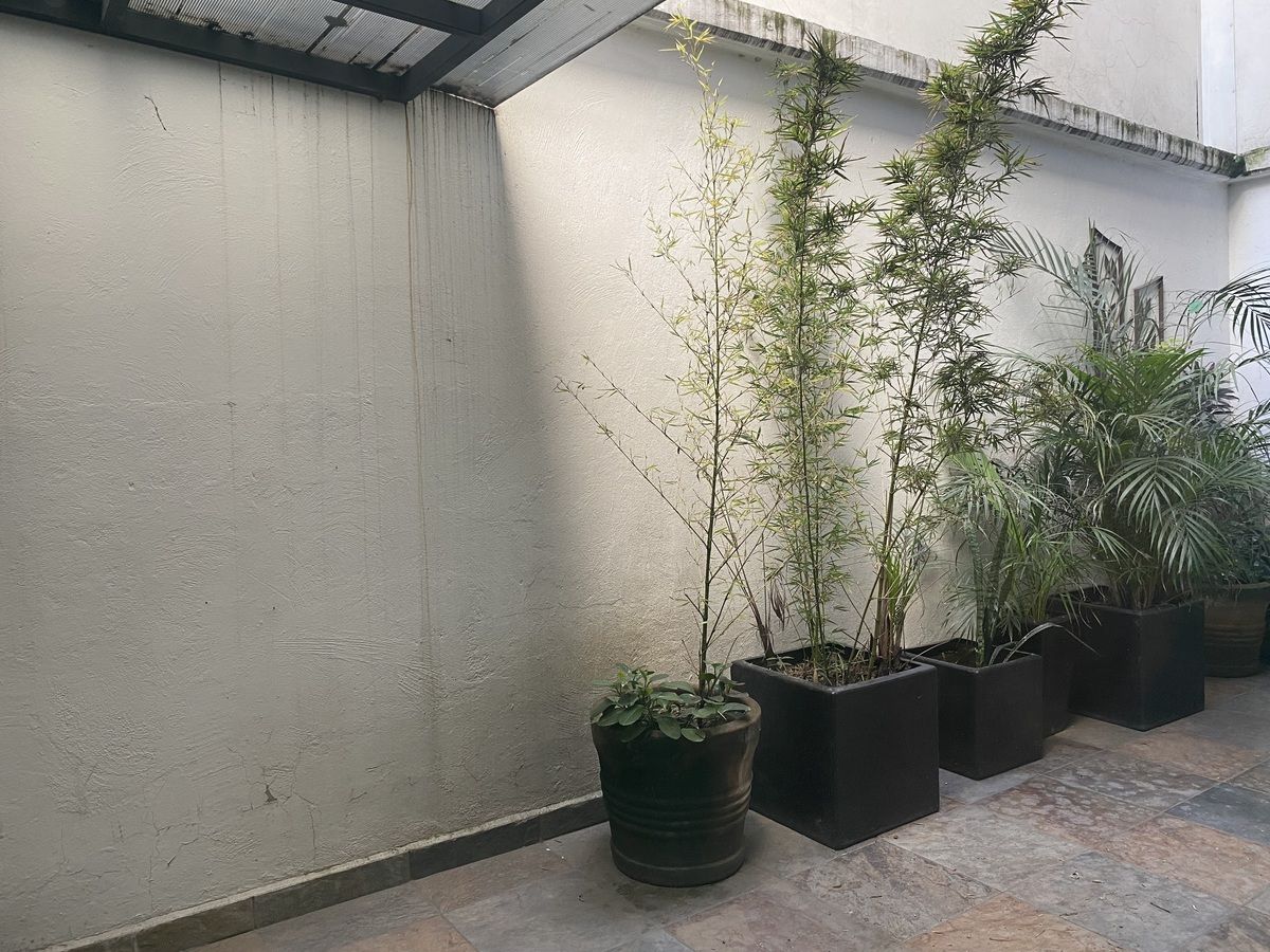 12 of 19: terraza interior