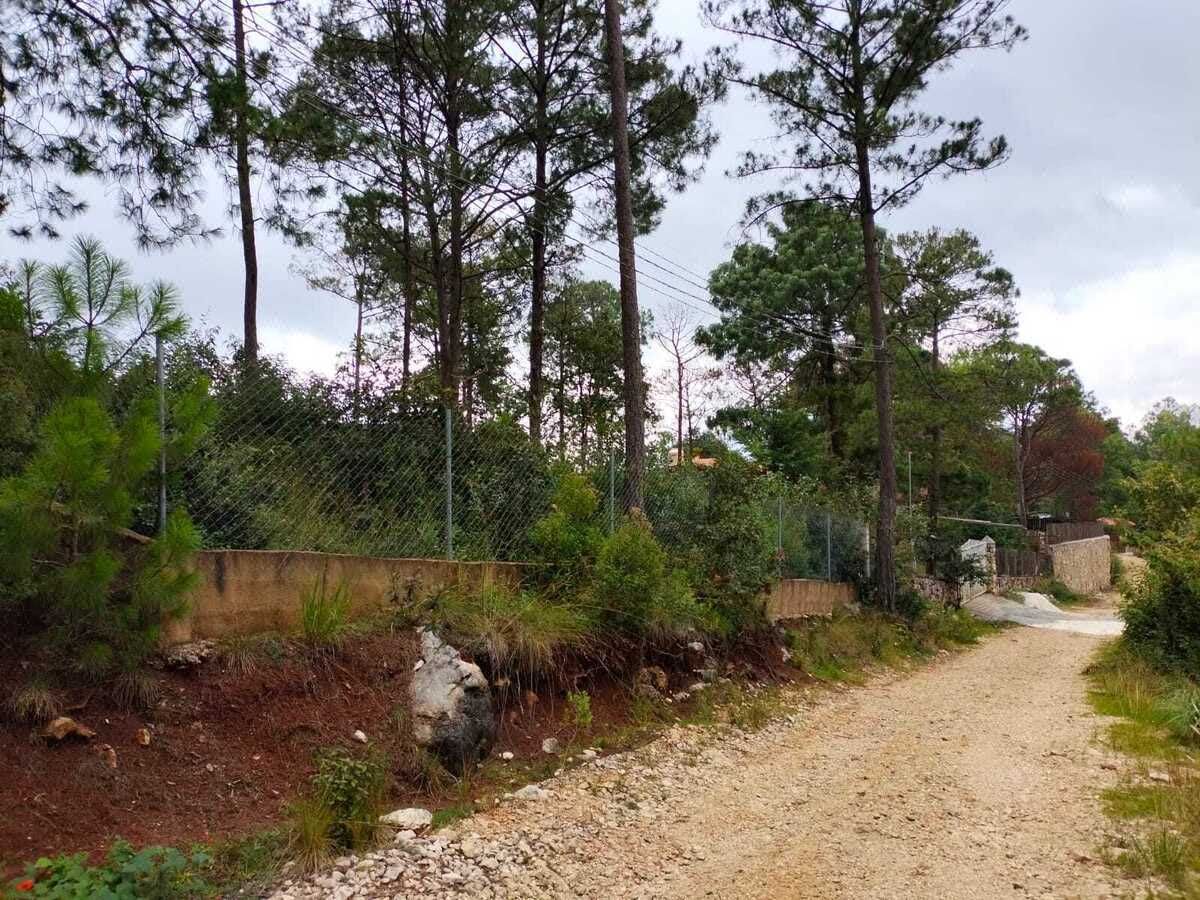 Terreno arbolado ideal para casa de campo