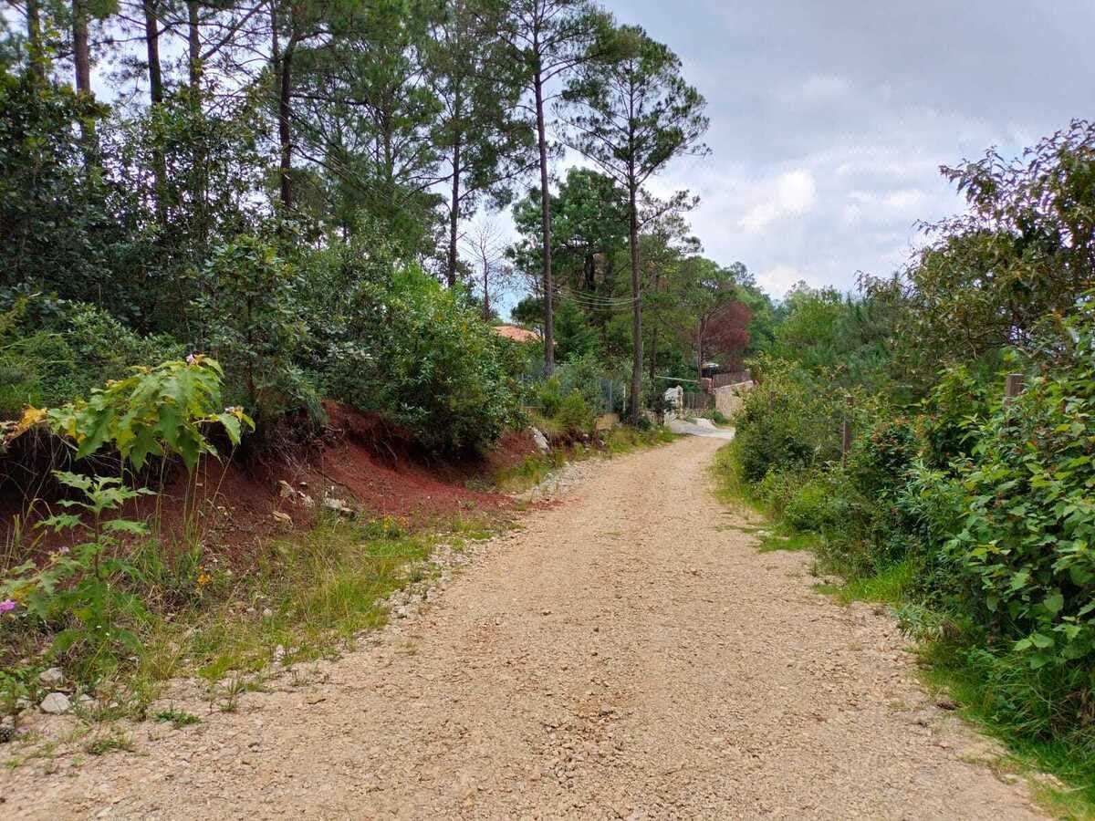 Terreno arbolado ideal para cabaña