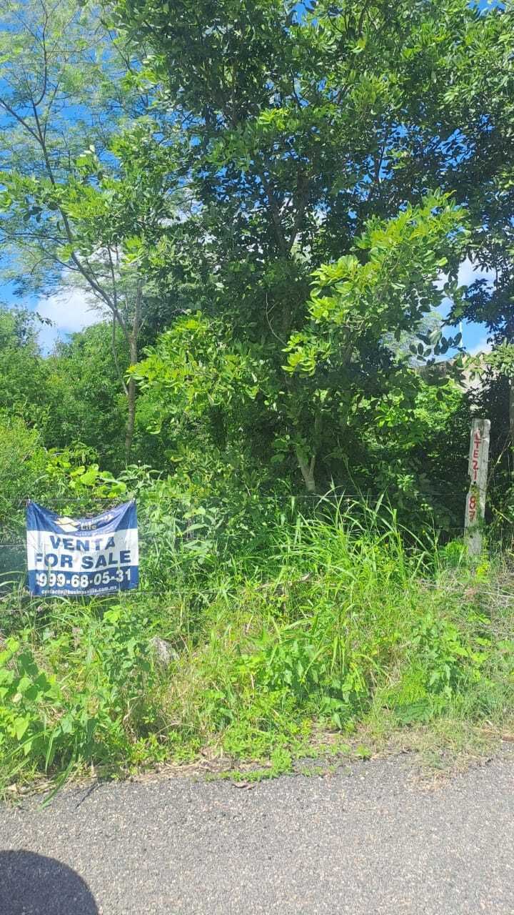 Venta de terreno en Dzitya excelente ubicación - foto 3