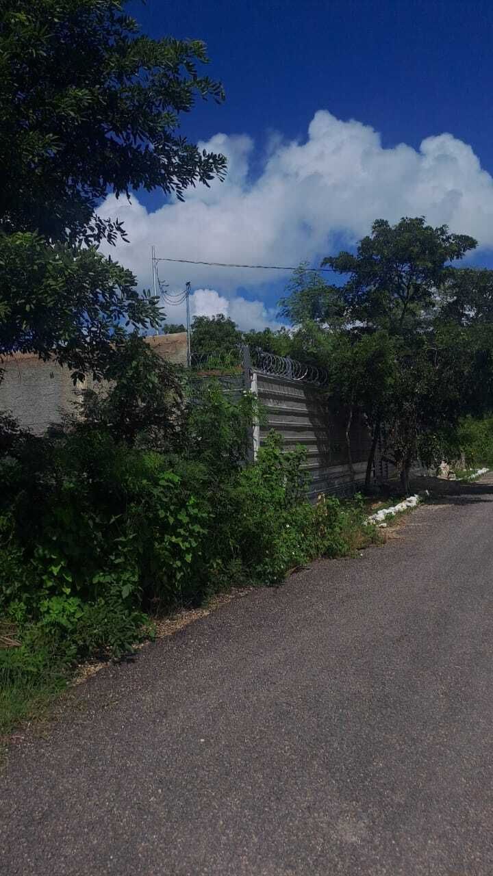 Venta de terreno en Dzitya excelente ubicación - foto 4