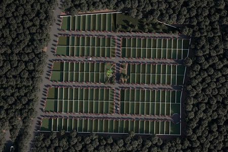 Terreno en venta en Conkal, Yucatán