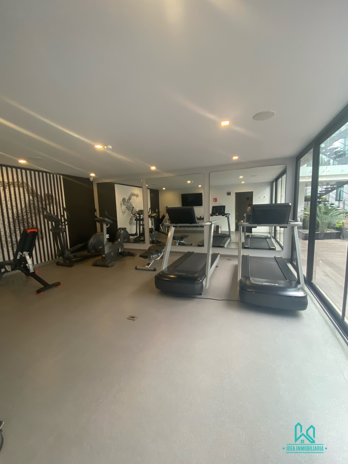 1 of 8: Gimnasio