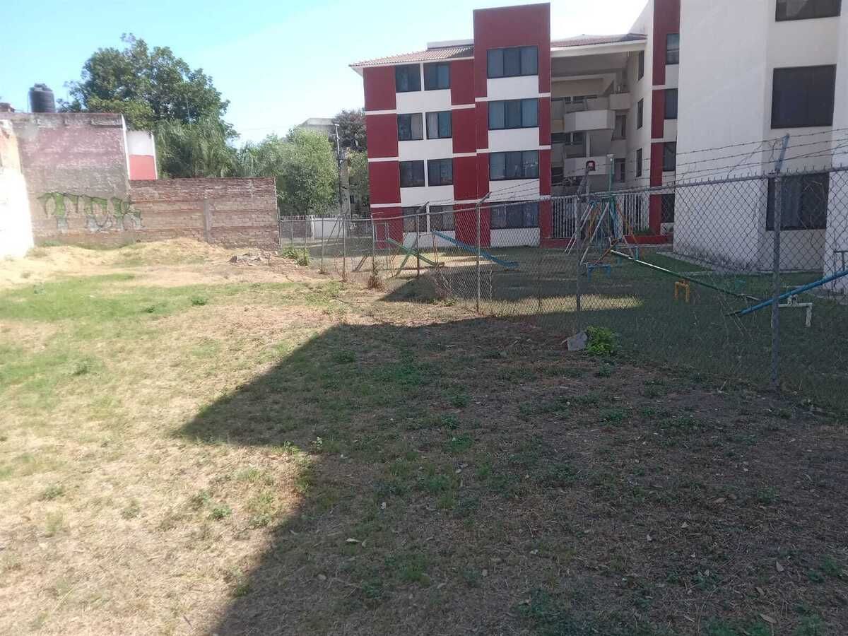 5 de 5