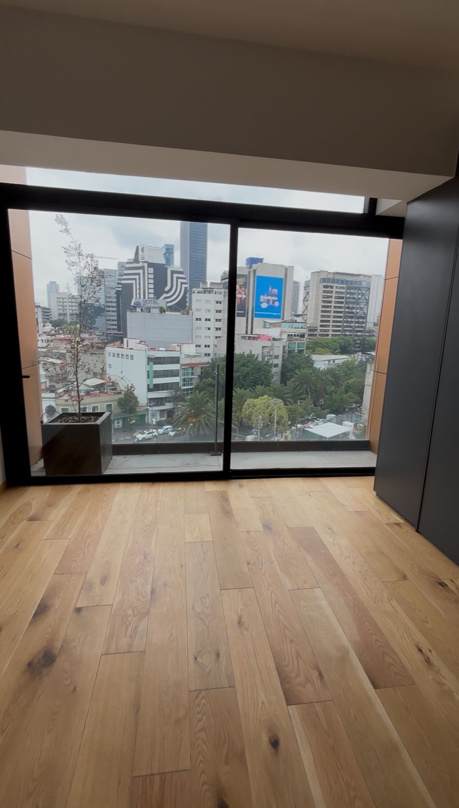 5 de 29