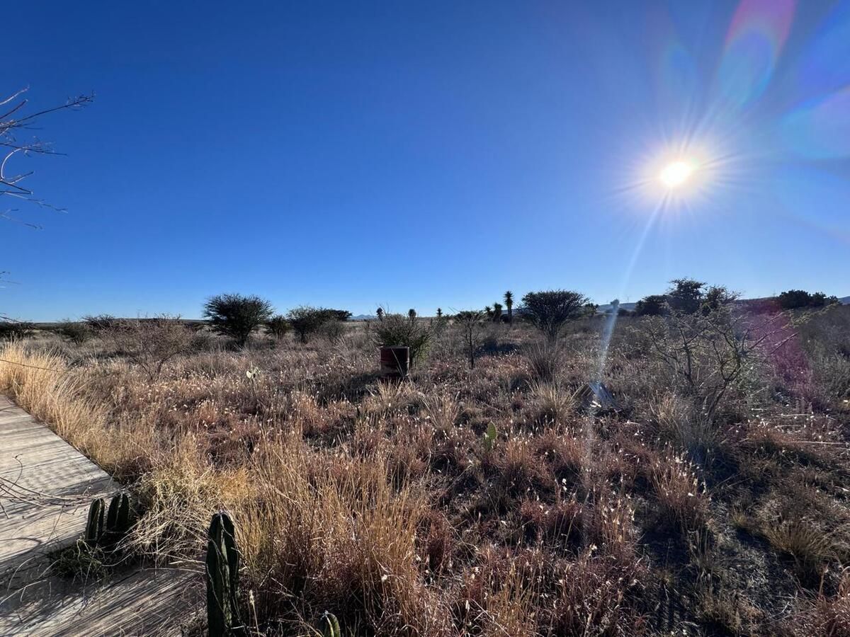 3 de 8: Vista hacia al terreno