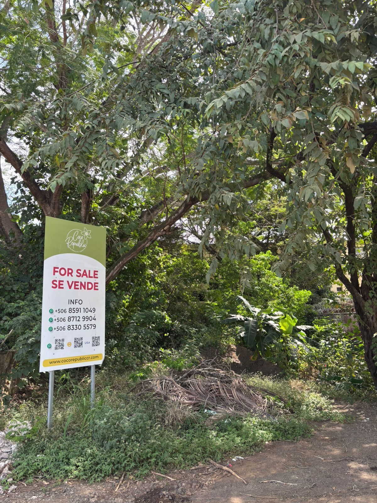 19 of 20: Actual Lot