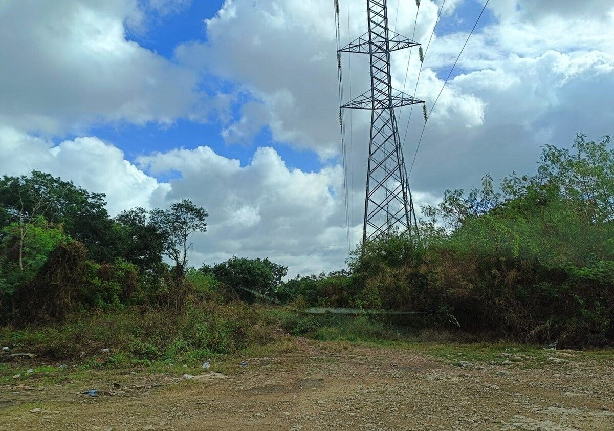 Calle trasera